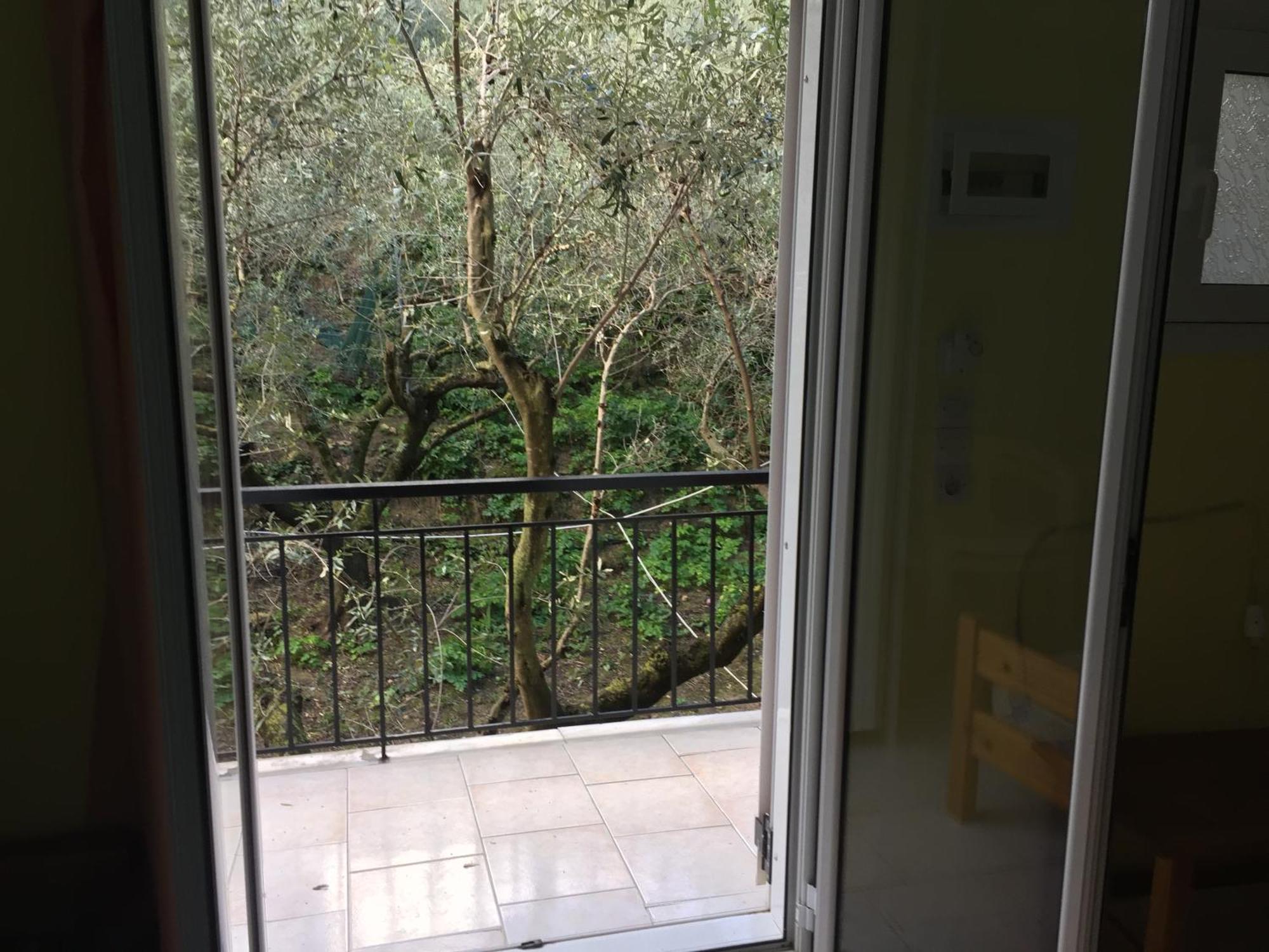 Belvedere Zakynthos Studios Vasilikos  Room photo