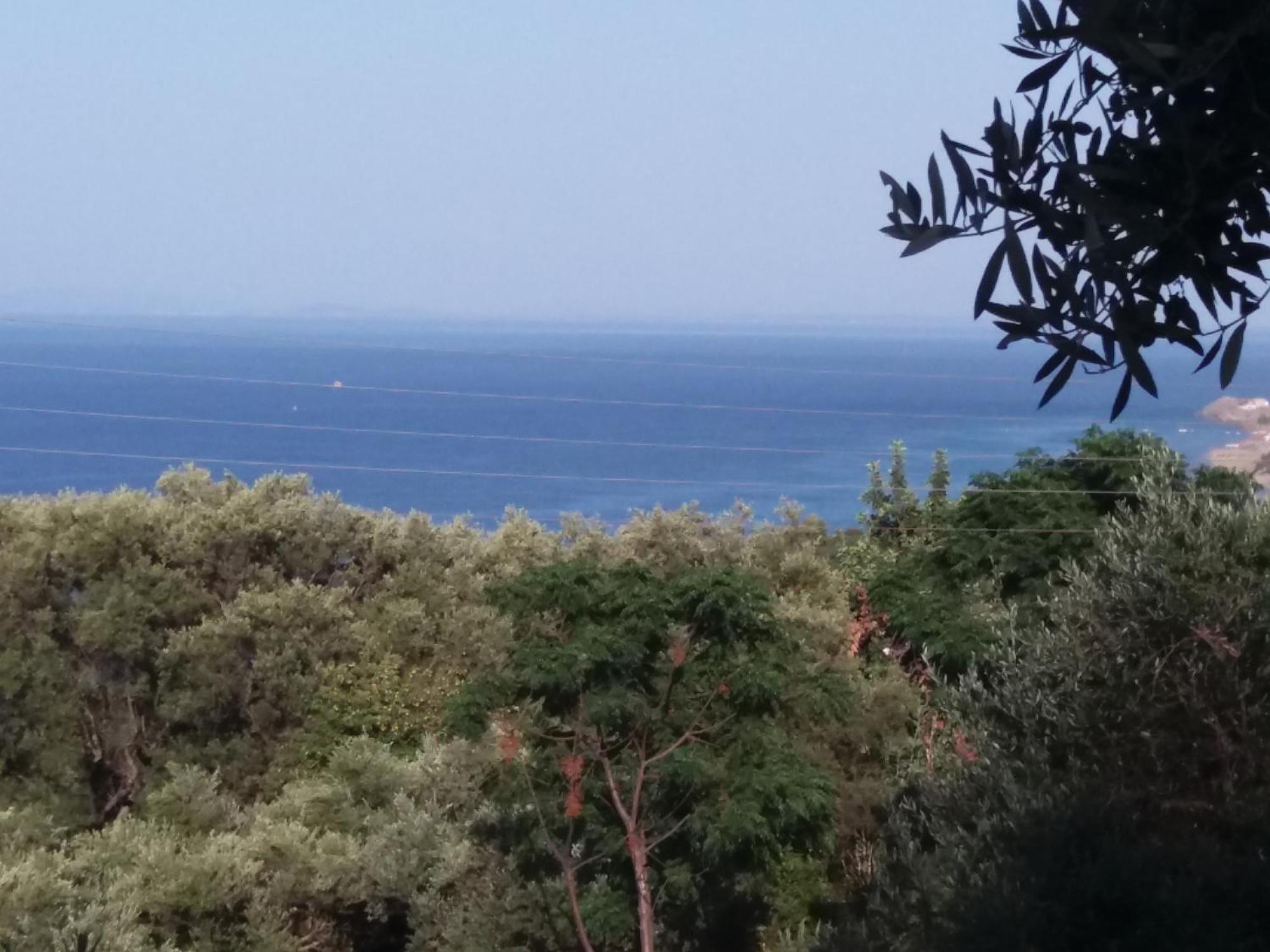 Belvedere Zakynthos Studios Vasilikos  Room photo